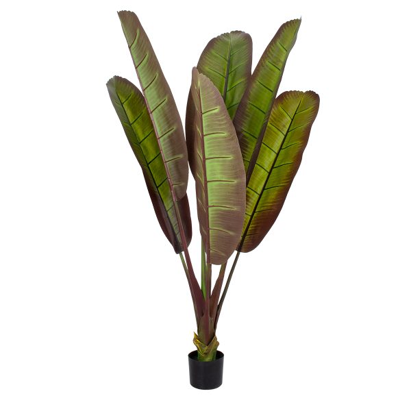 GloboStar® Artificial Garden BLOODY BANANA TREE 20117 Τεχνητό Διακοσμητικό Φυτό Αιματόφυλλη Μπανανιά - Μπανανόδεντρο Υ160cm