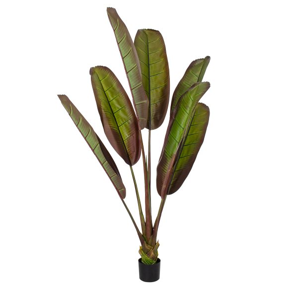 GloboStar® Artificial Garden BLOODY BANANA TREE 20118 Τεχνητό Διακοσμητικό Φυτό Αιματόφυλλη Μπανανιά - Μπανανόδεντρο Υ190cm