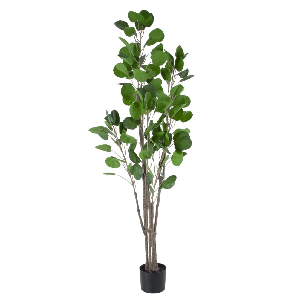 GloboStar® Artificial Garden POLYSCIAS BALFOURIANA TREE 20375 Τεχνητό Διακοσμητικό Φυτό Πολυσκιά Υ180cm