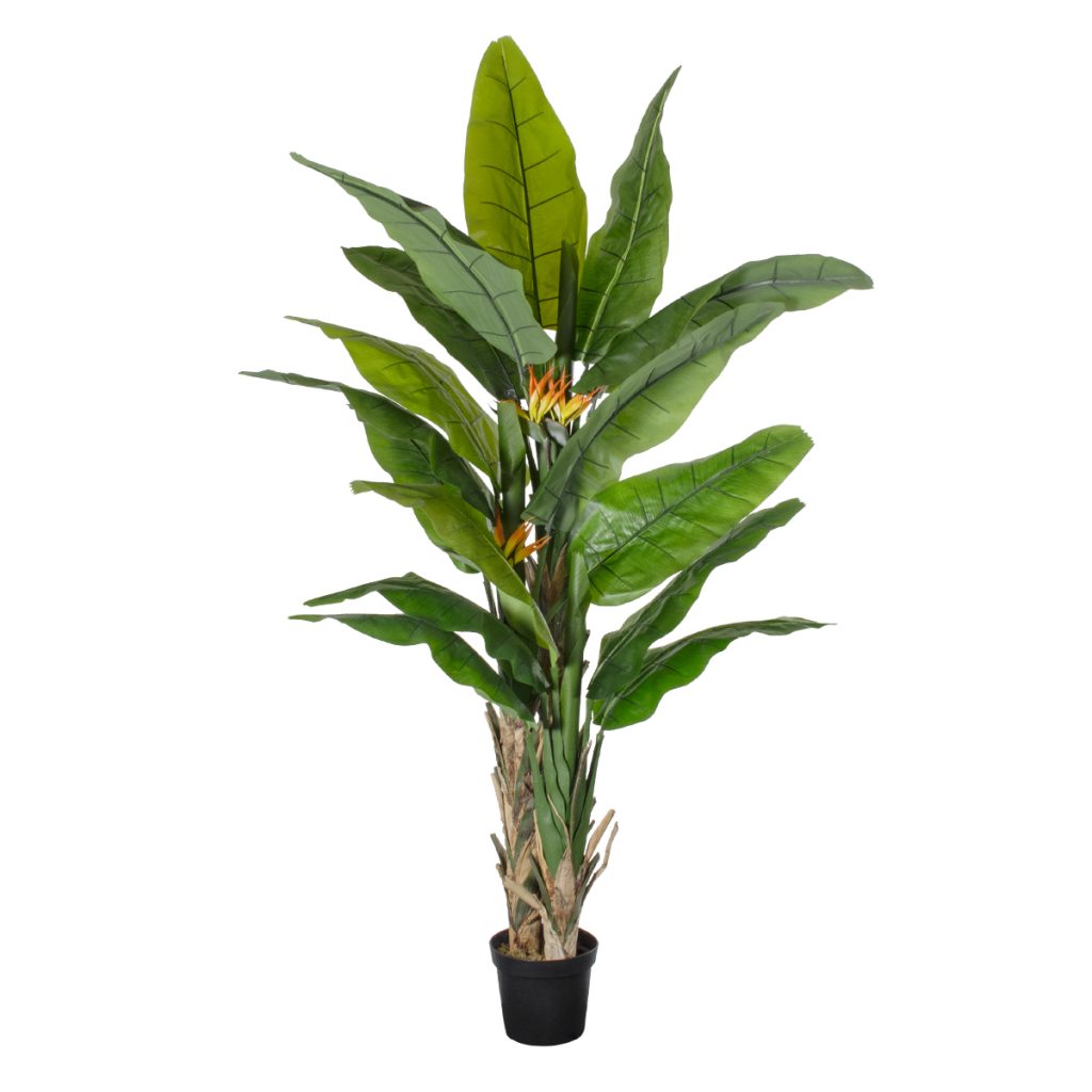 GloboStar® Artificial Garden BANANA STRELITZIA REGINAE 20381 Τεχνητό Διακοσμητικό Φυτό  Μπανανιά - Στρελίτσια - Πουλί του Παραδείσου Υ230cm