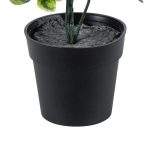 GloboStar® Artificial Garden ANUBIA BARTERI 20390 Τεχνητό Διακοσμητικό Φυτό Ανούμπια Υ30cm