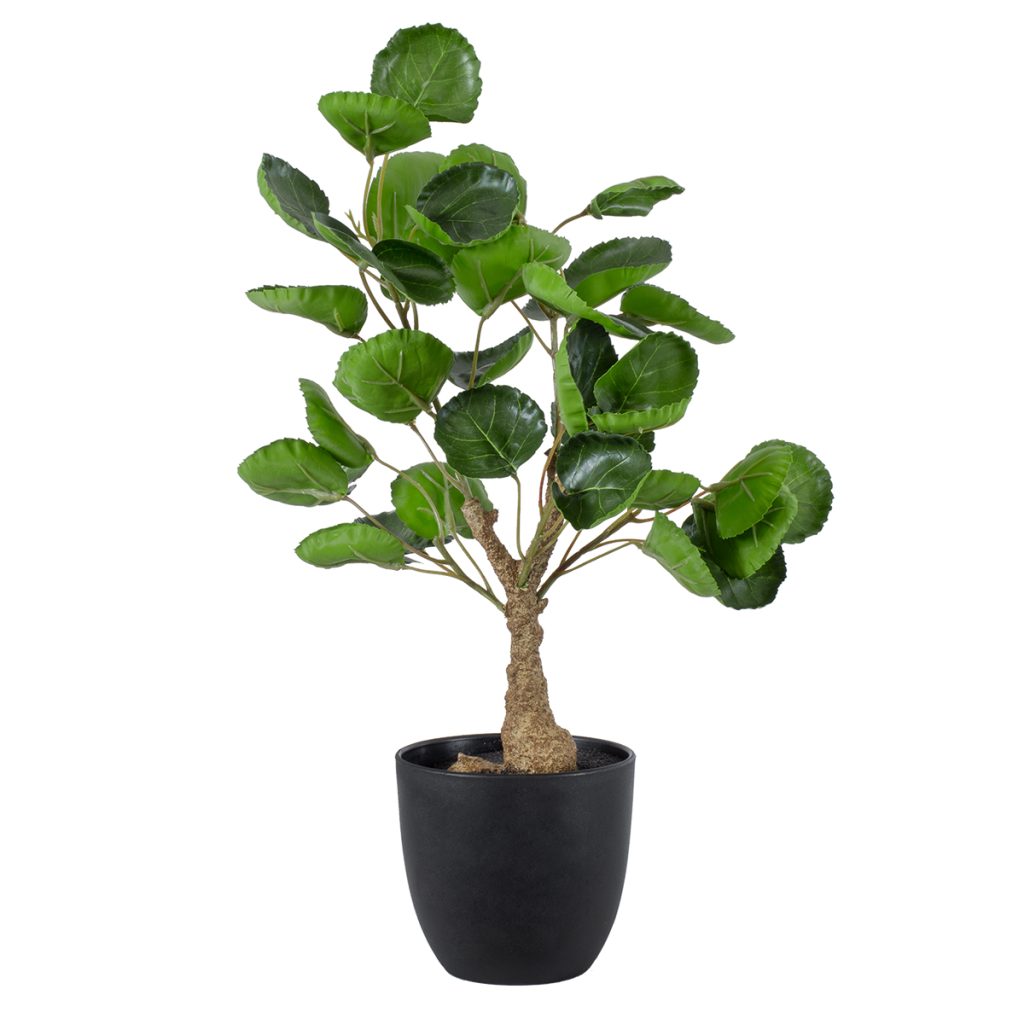 GloboStar® Artificial Garden POLYSCIAS SCUTELLARIA TREE 20424 Τεχνητό Διακοσμητικό Φυτό Πολυσκιά Υ50cm