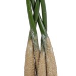 GloboStar® Artificial Garden PACHIRA GLABRA 20427 Τεχνητό Διακοσμητικό Φυτό Παχίρα της Τύχης Υ90cm