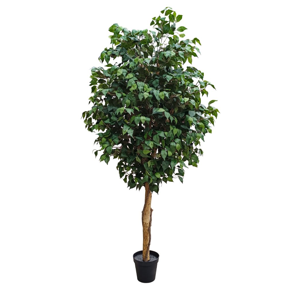 GloboStar® Artificial Garden FICUS BENJAMINA TREE 20431 Τεχνητό Διακοσμητικό Φυτό Φίκος Μπενζαμίνη Υ210cm